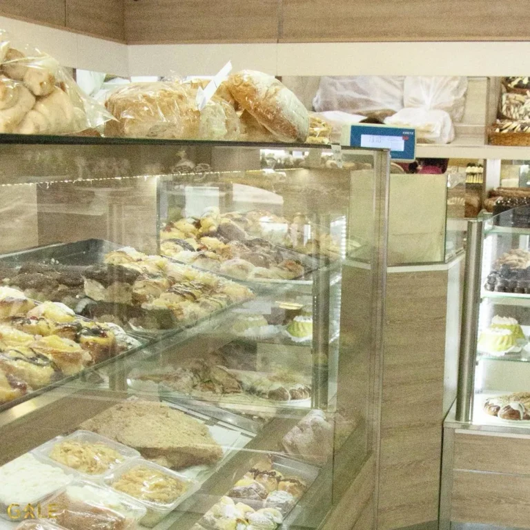 WhatsApp Image 2025-03-03 at 7.48.30 PM (1)