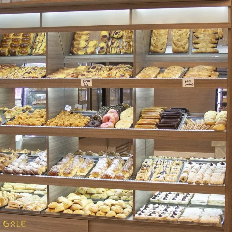 WhatsApp Image 2025-03-03 at 7.48.35 PM (1)