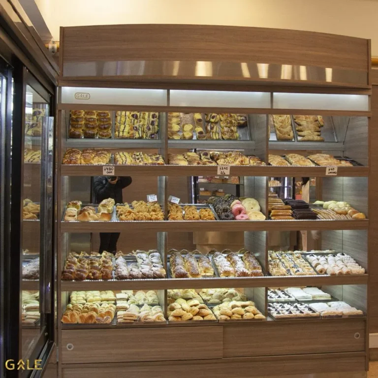 WhatsApp Image 2025-03-03 at 7.48.37 PM (1)